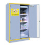 Armoire pour produits dangereux Trionyx 30 minutes